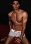 Muscular Diesel Modeling