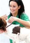 female vet model